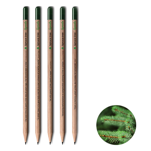 Sprout pencil tree | Eco gift